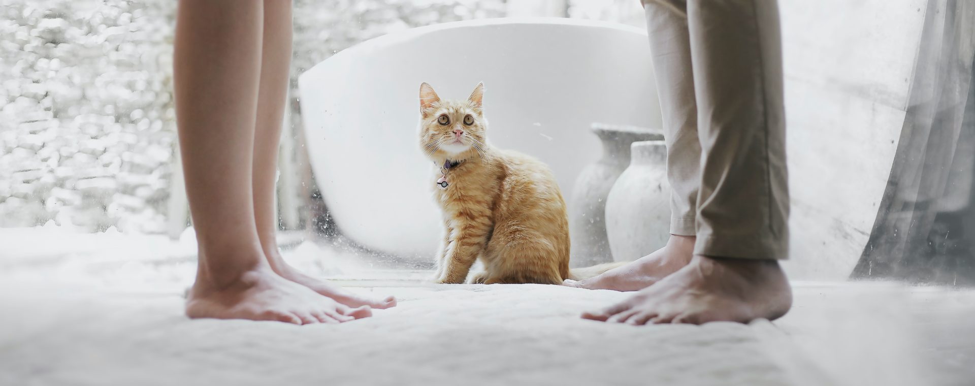 Couple devant un chat-problèmes sexuels en préménopause