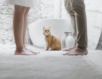 Couple devant un chat-problèmes sexuels en préménopause