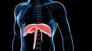 mal de dos diaphragme