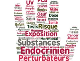 perturbateurs endocriniens