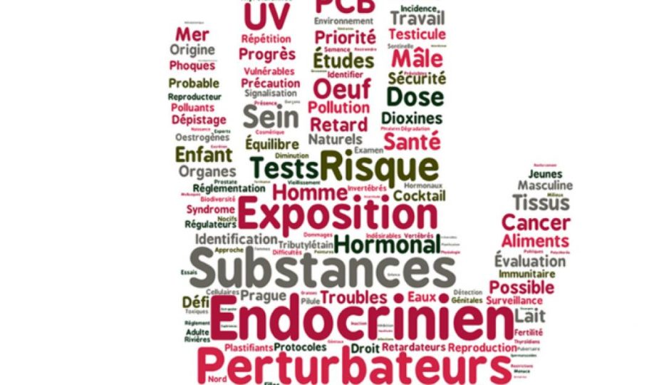 perturbateurs endocriniens